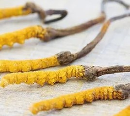 ○○○○○○○○○○講座Zoomオンライン講座　第１クール